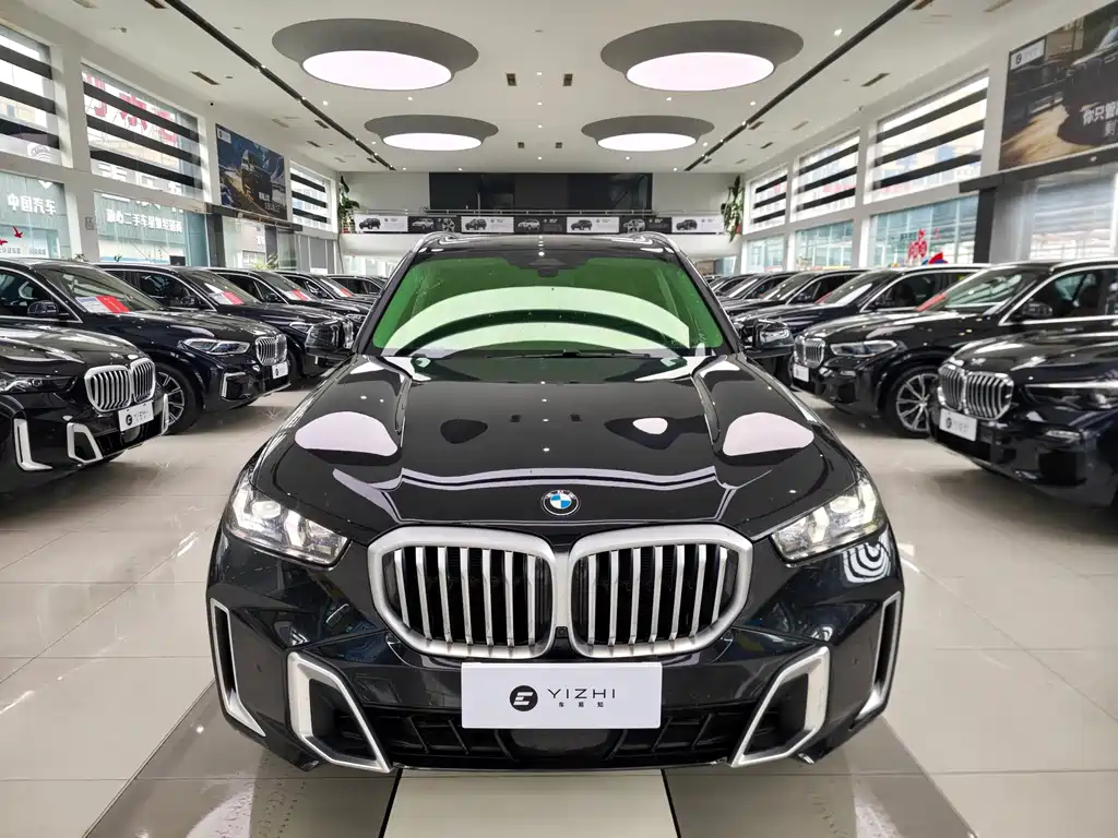 BMW X5 — миниатюра 2