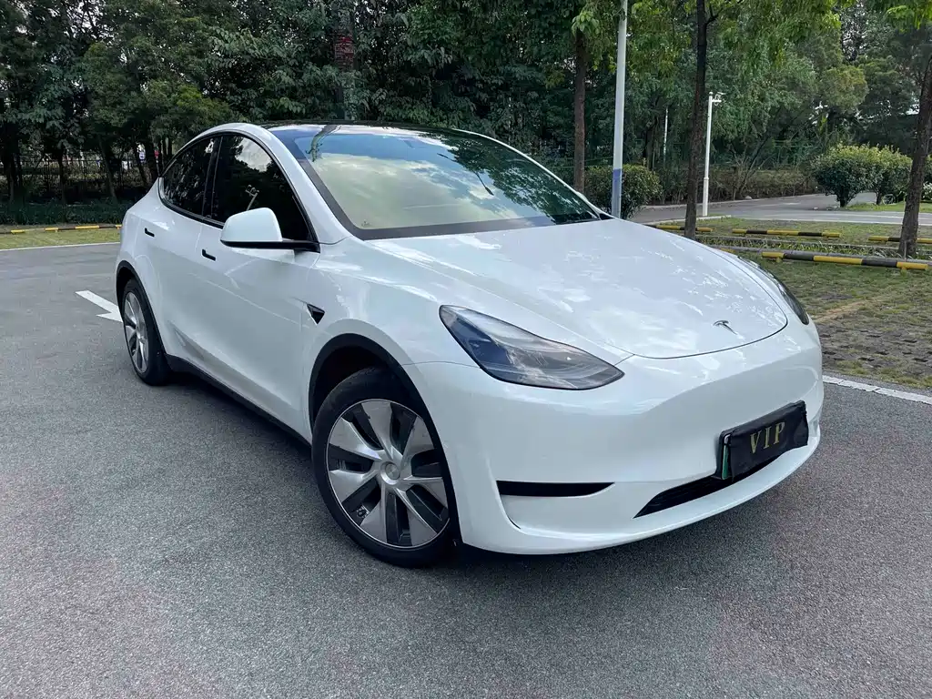 Tesla Model Y — миниатюра 3