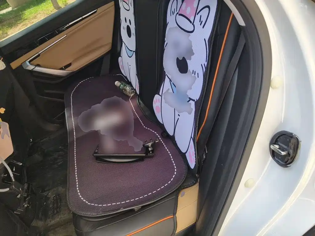 Geely Boyue L — миниатюра 13