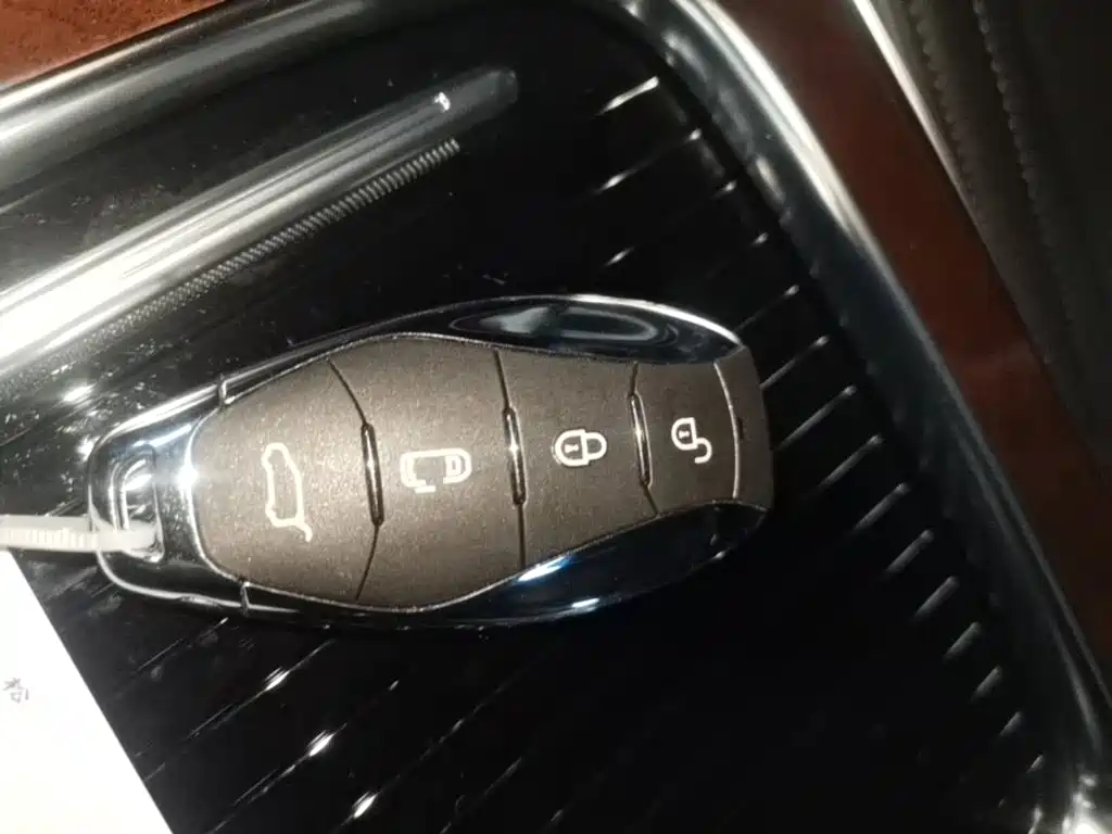 Hongqi HQ9 PHEV 2024 2.0T Luxury