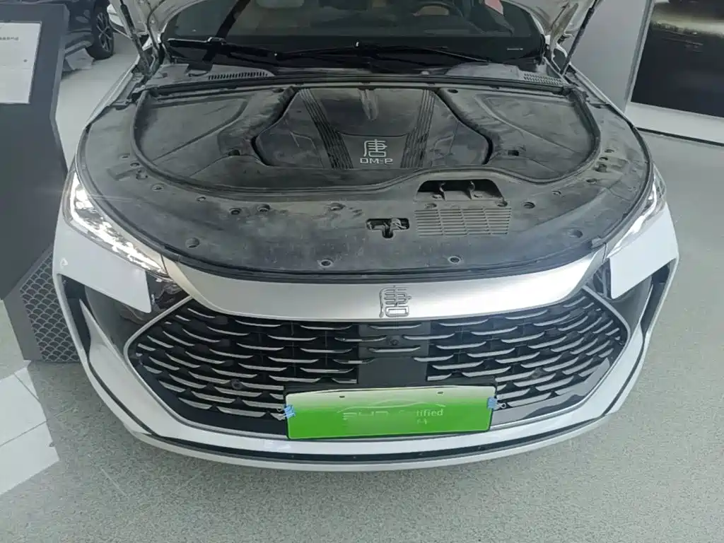 BYD Tang New Energy — миниатюра 20