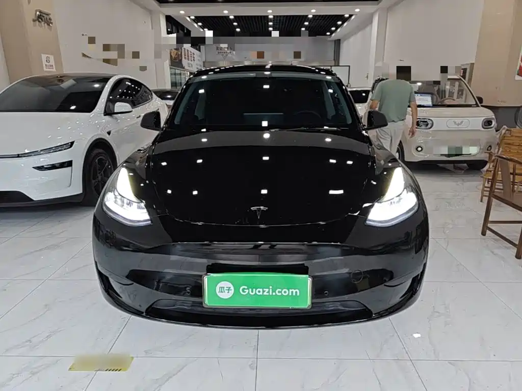 Tesla Model Y — миниатюра 3