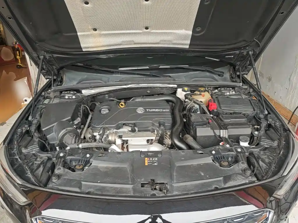 Buick Regal — миниатюра 20