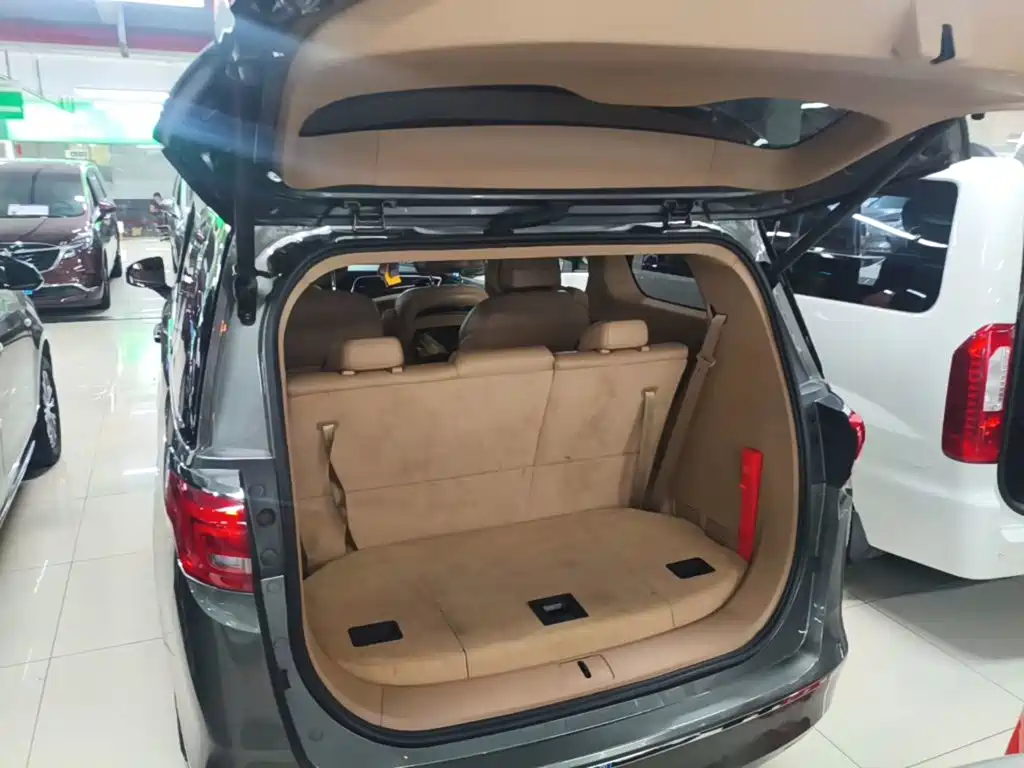 Buick GL8 — миниатюра 19