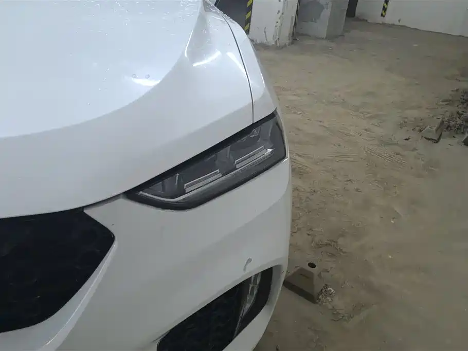 WEI PAI WEI BRAND VV7