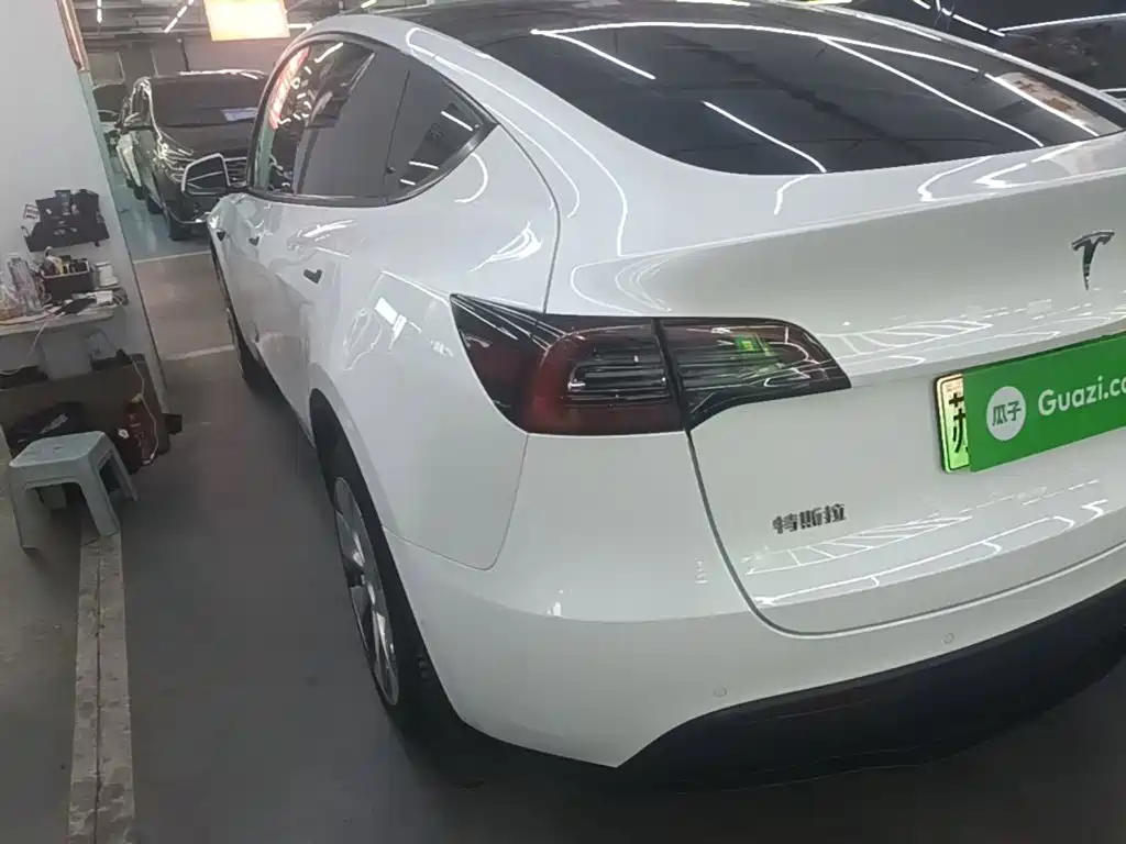 Tesla Model Y — миниатюра 5