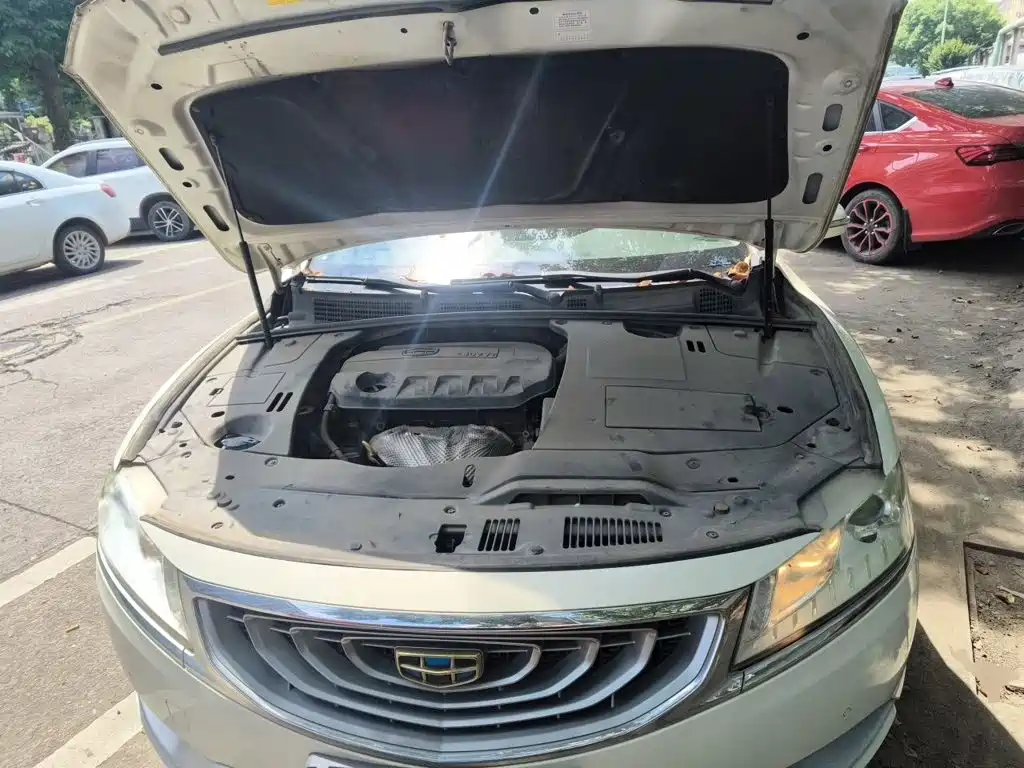 Geely Borui — миниатюра 11