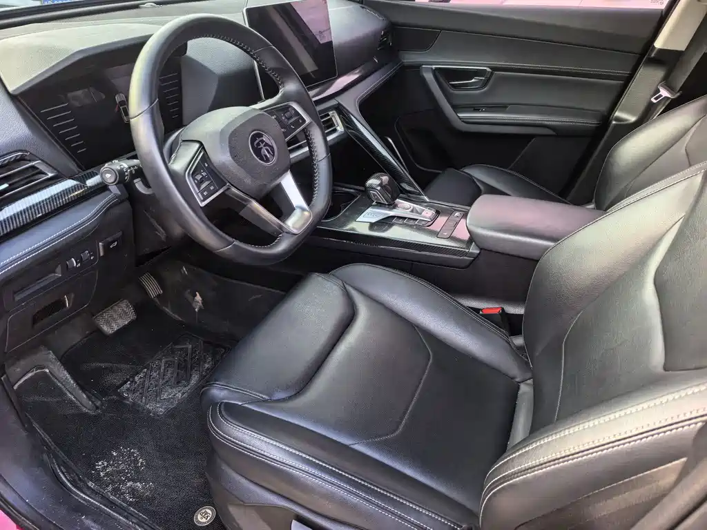 BYD Pro — миниатюра 4