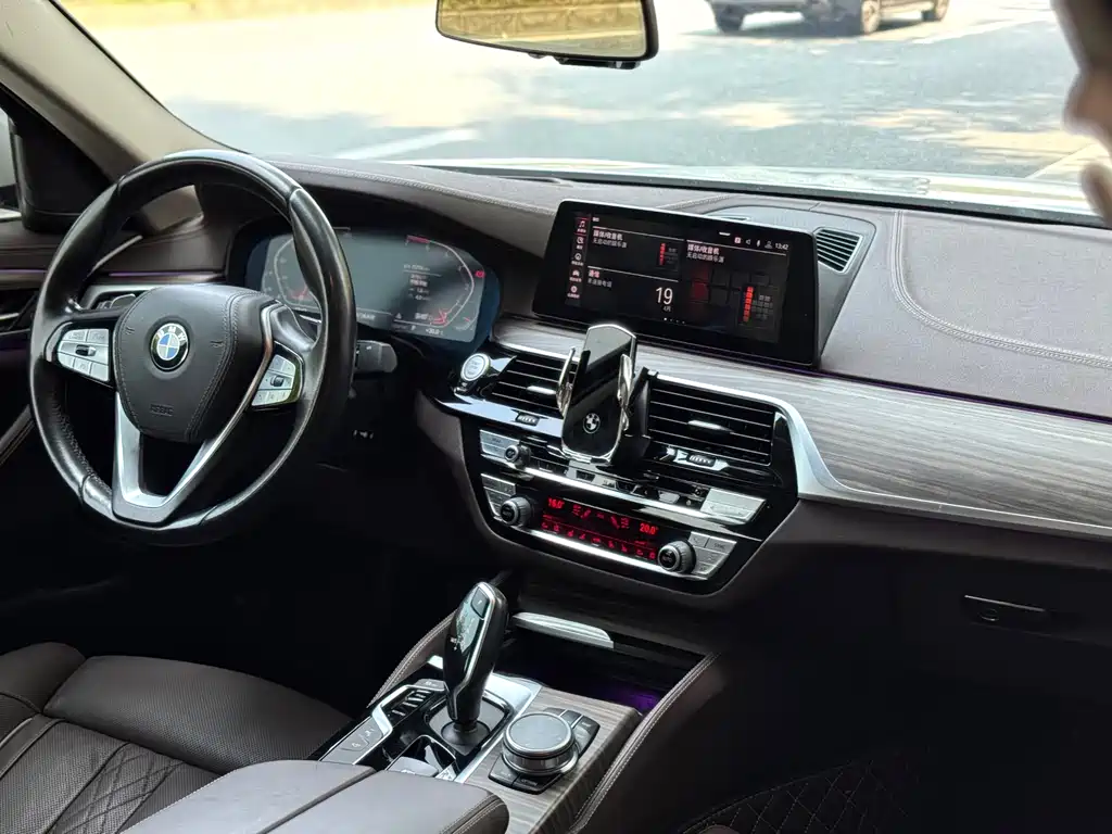 BMW 5 Series 5 2020 530Li Premium Luxury