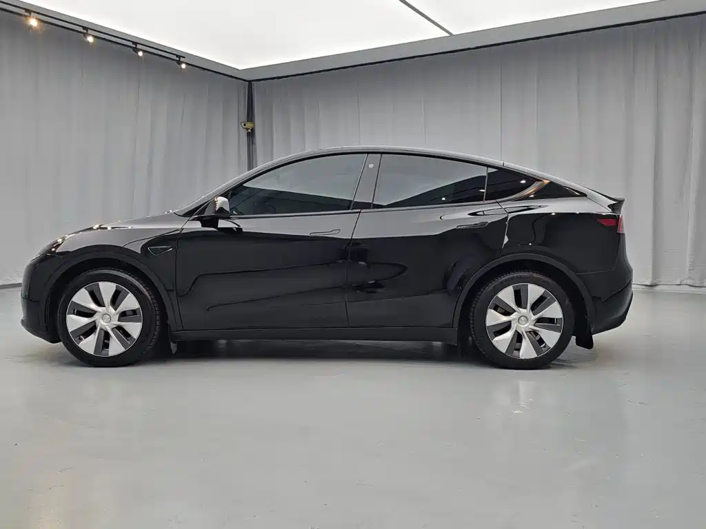 Tesla Model Y — миниатюра 8