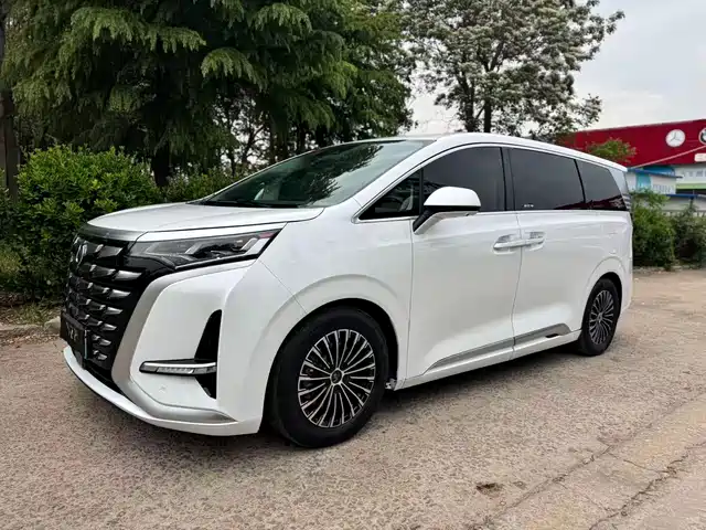 2024 Denza D9