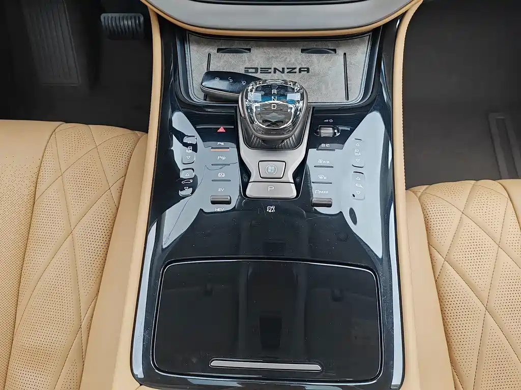 Denza Denza D9 — миниатюра 8