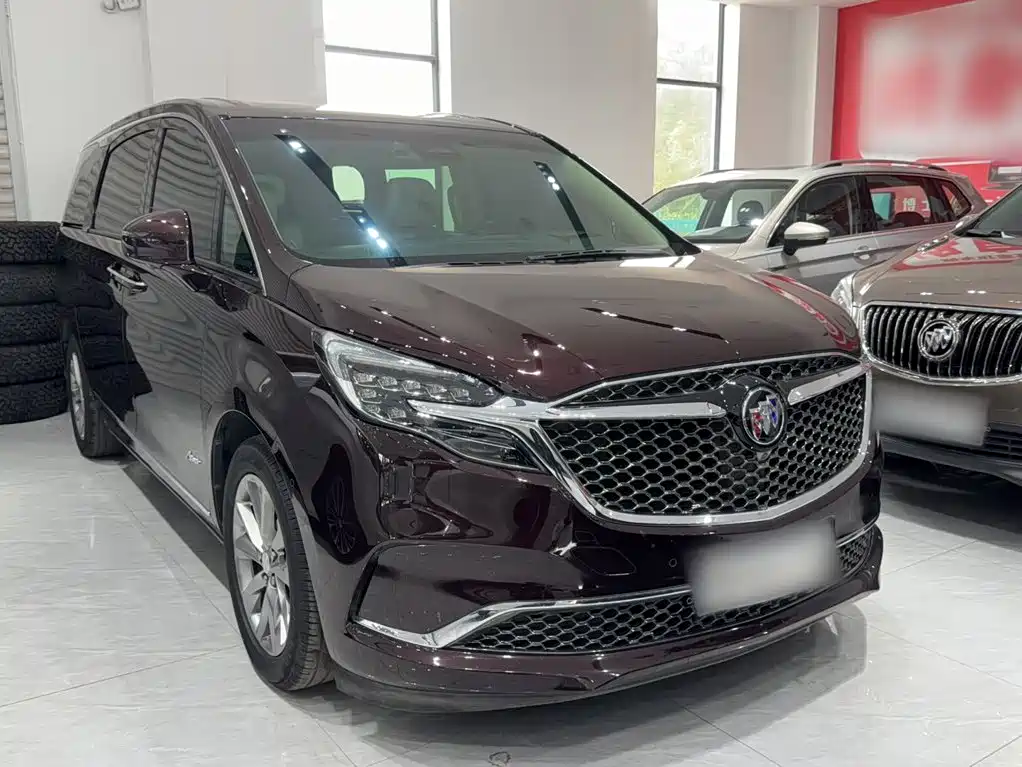 Buick GL8 — миниатюра 6