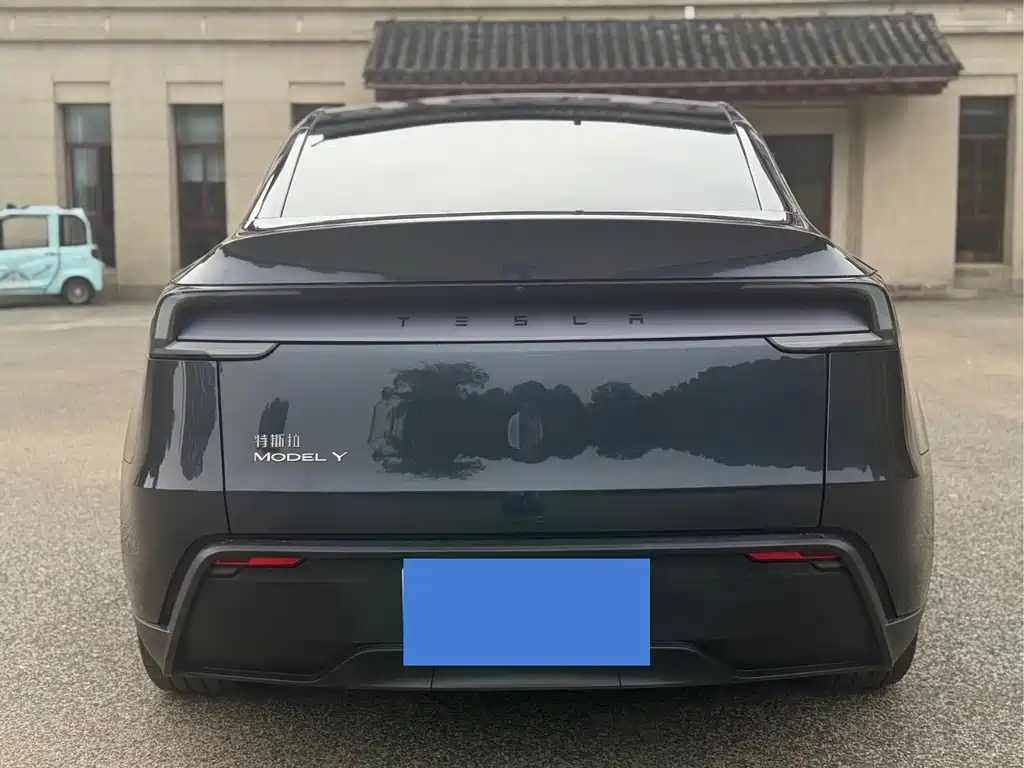 Tesla Model Y — миниатюра 4