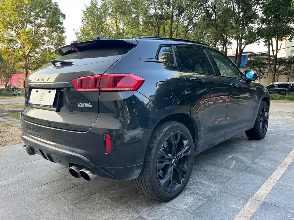 Wey Wey VV7 — миниатюра 5