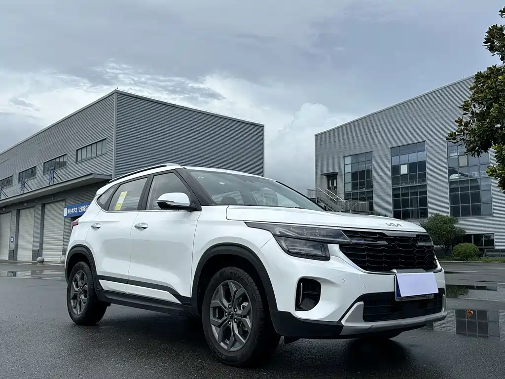 Kia Seltos — миниатюра 2
