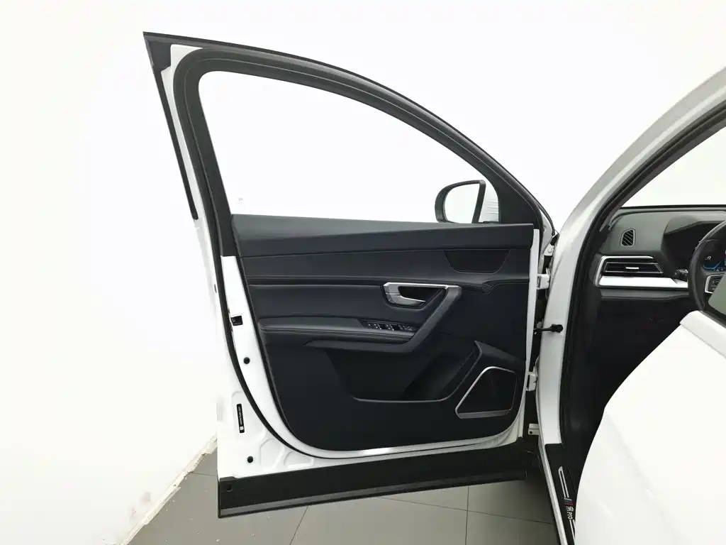 BYD Pro — миниатюра 8