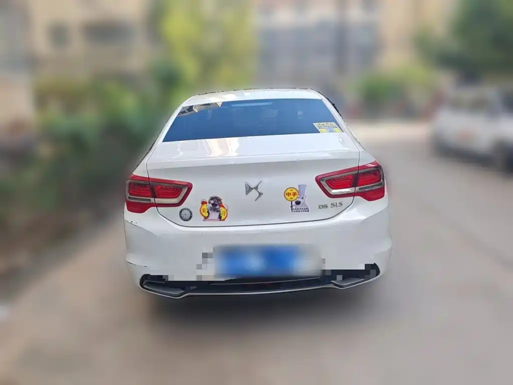 DS DS 5LS — миниатюра 5