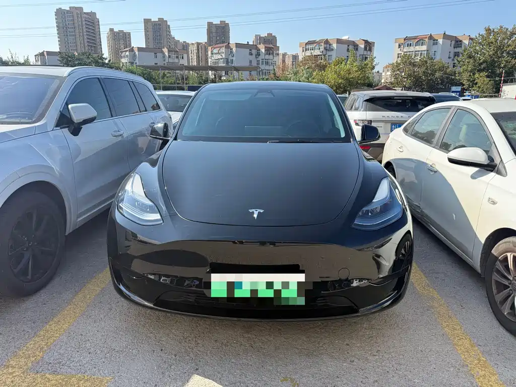 Tesla Model Y — миниатюра 3
