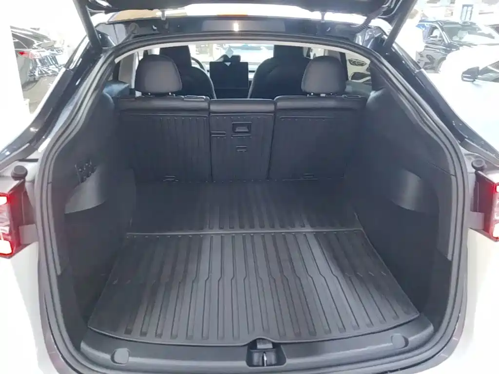 Tesla Model Y — миниатюра 19