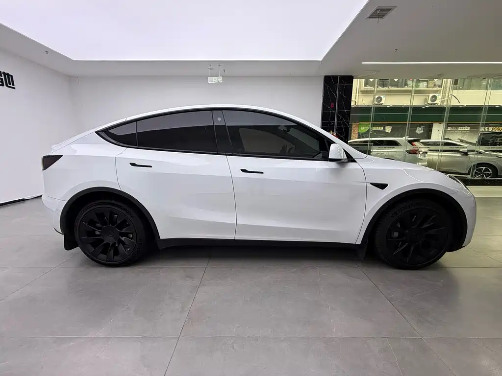 Tesla Model Y — миниатюра 6