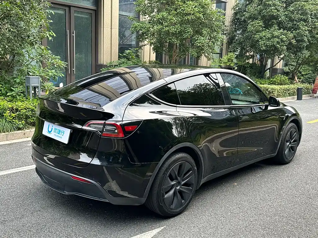 Tesla Model Y — миниатюра 4