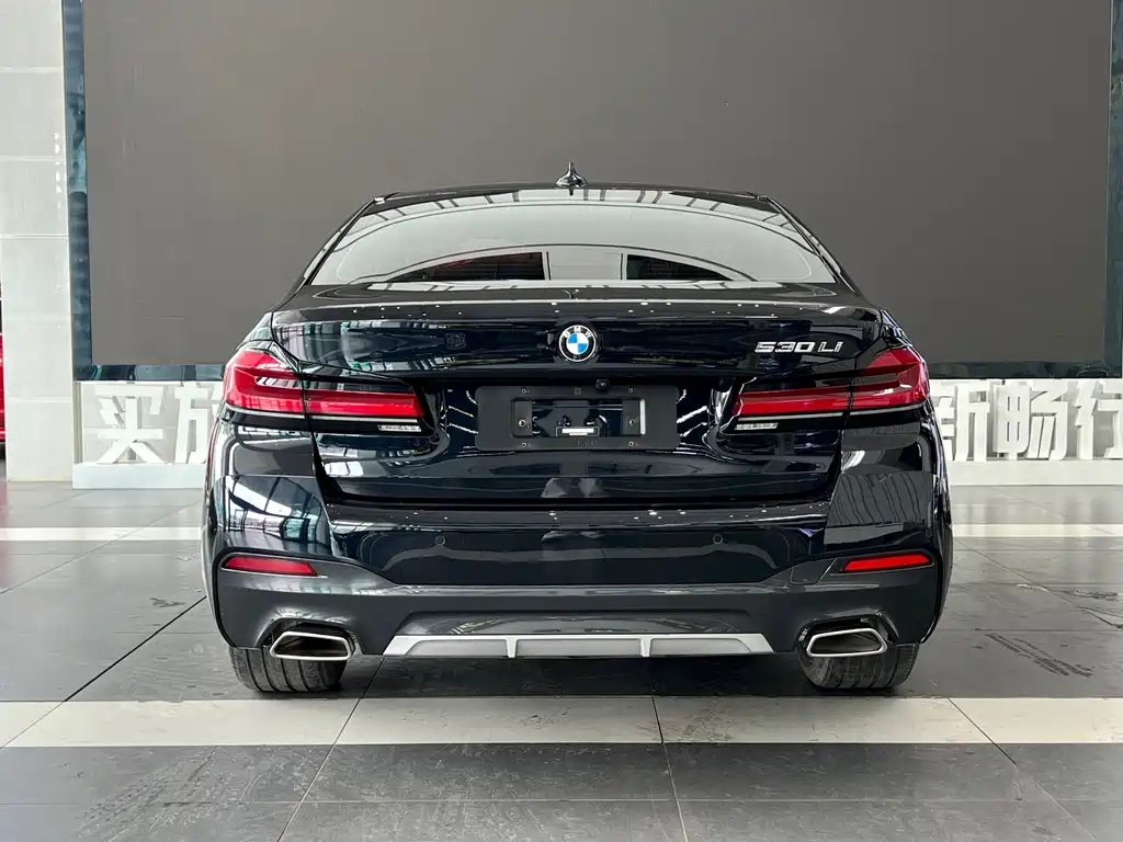 BMW 5 Series — миниатюра 4