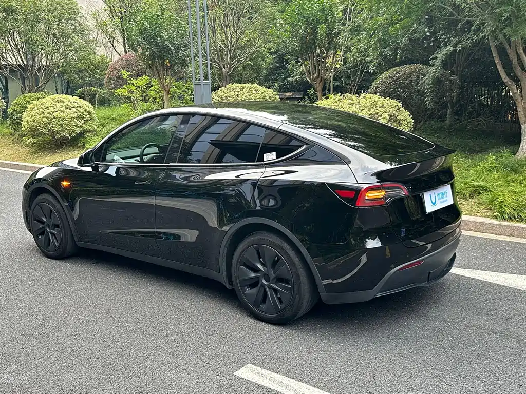 Tesla Model Y — миниатюра 6