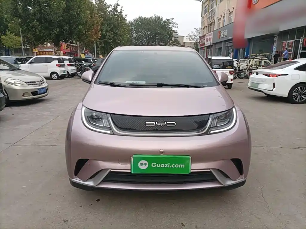 BYD Dolphin — миниатюра 3