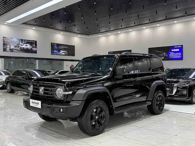 2023 TANK 300