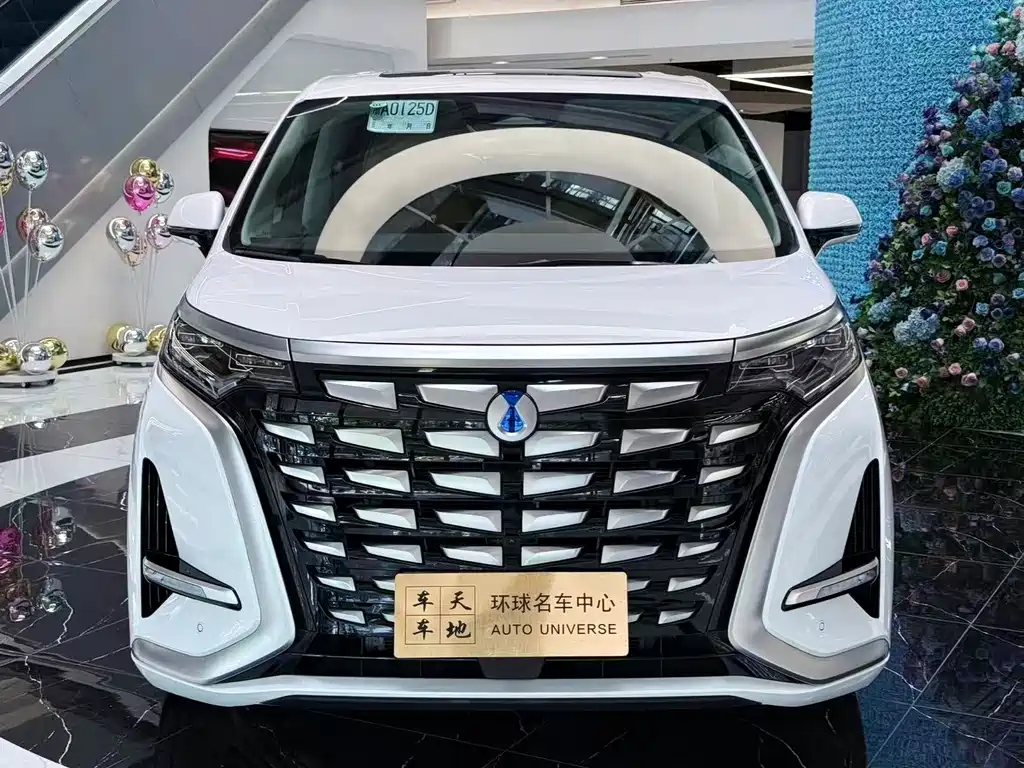 Denza Denza D9 — миниатюра 2