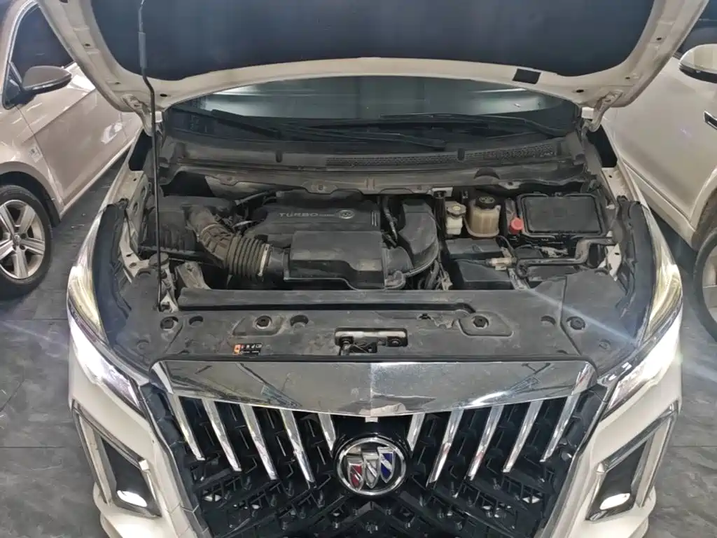 Buick GL8 — миниатюра 20