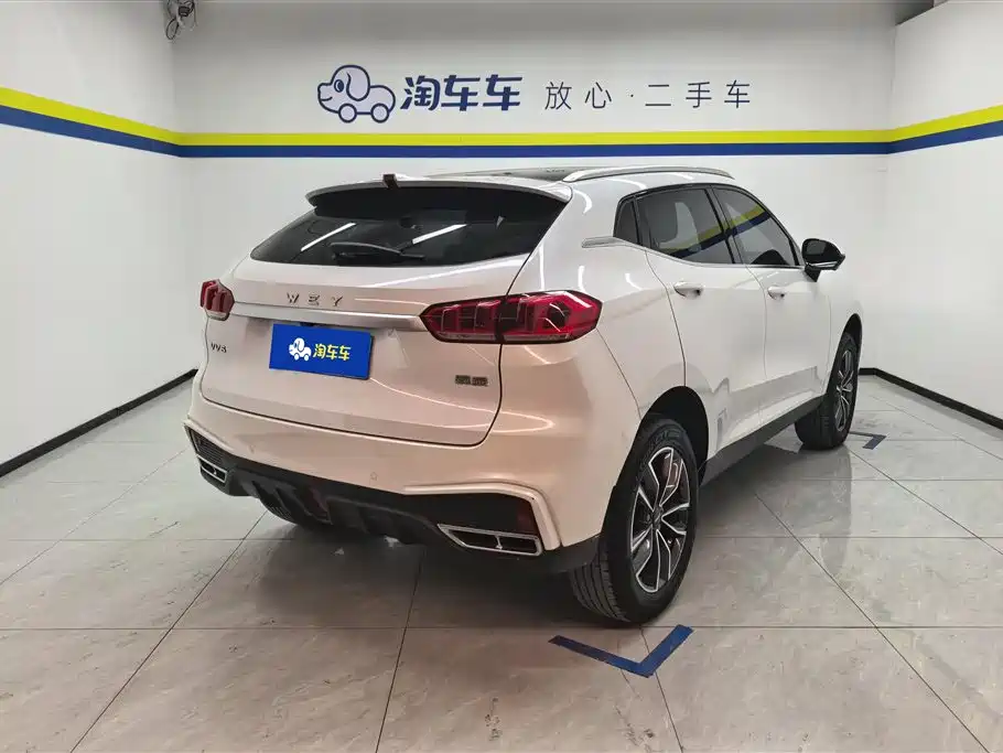 WEI PAI WEI BRAND VV5