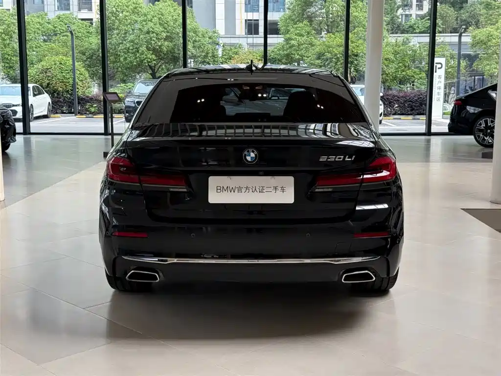 BMW 5 Series 5 2021 530Li Premium Luxury