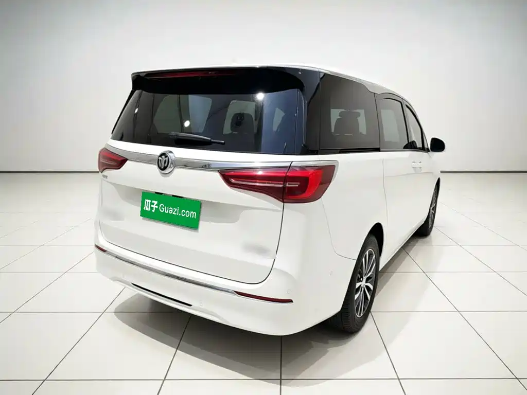 Buick GL8 — миниатюра 6
