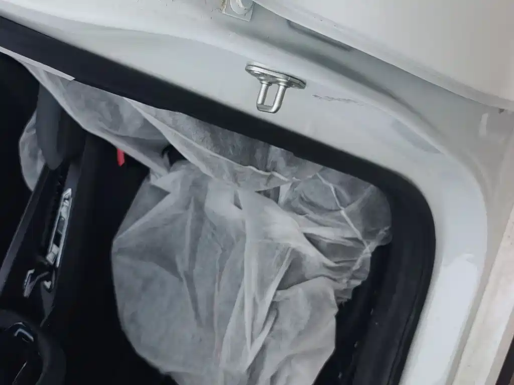 Geely Binrui 2024 COOL 1.5T DCT Champion