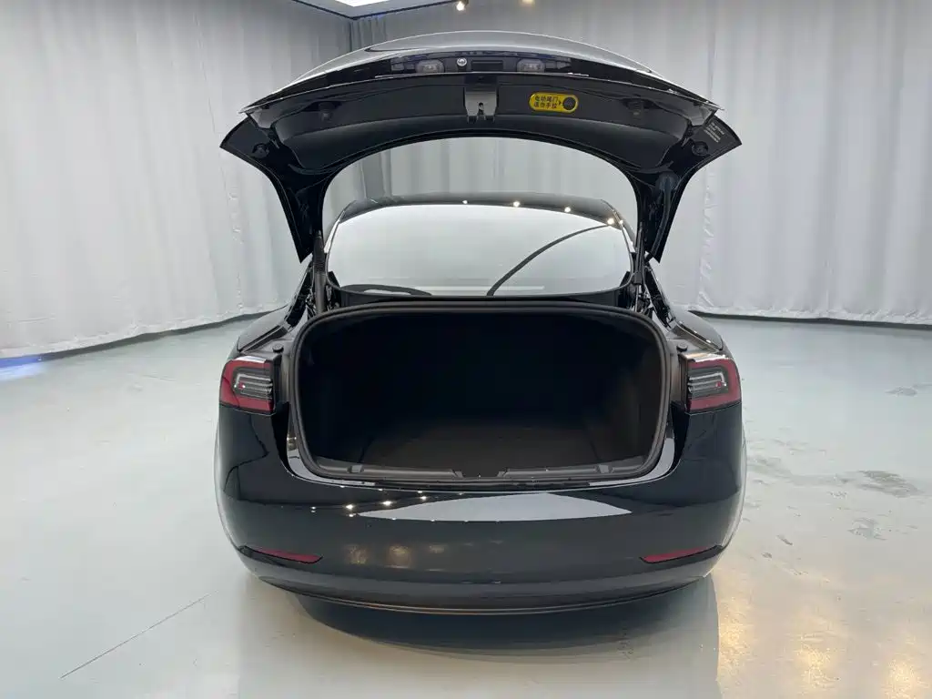 Tesla Model 3 — миниатюра 25