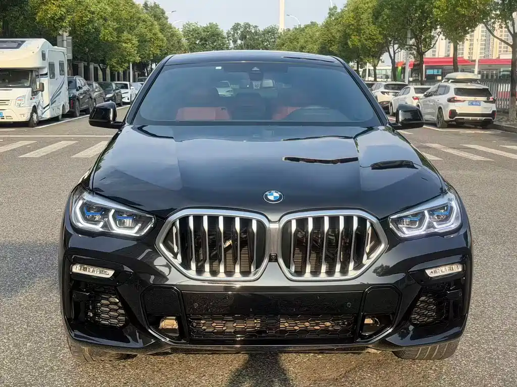 BMW X6 — миниатюра 2