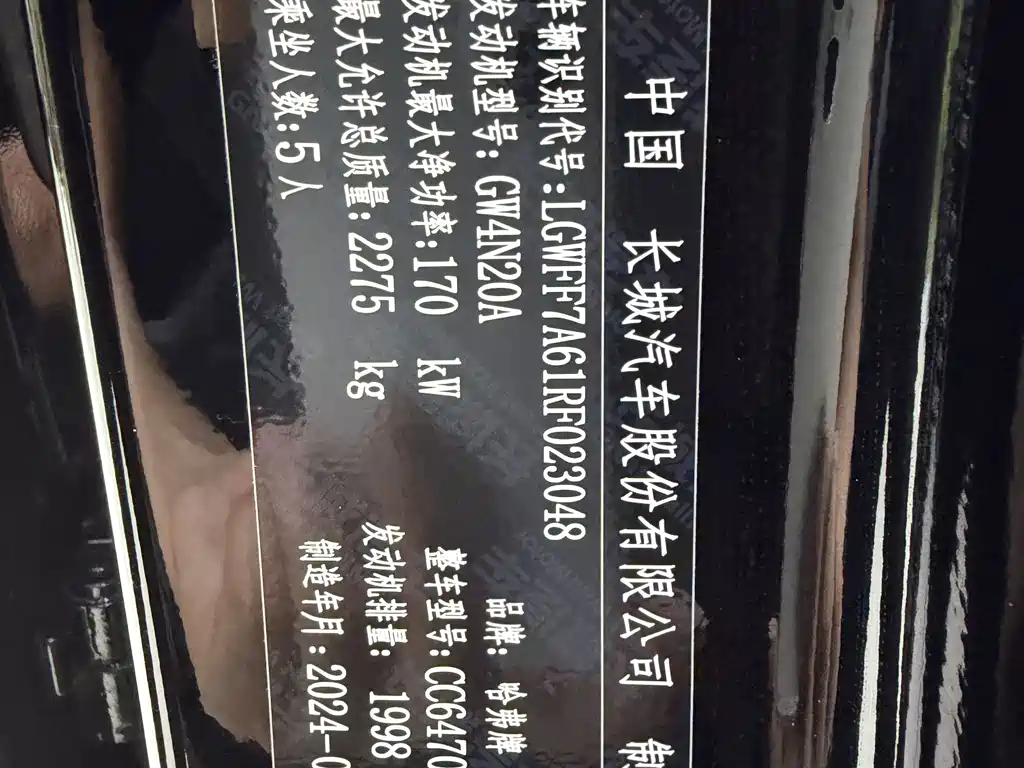 Haval Big Dog PLUS — миниатюра 22