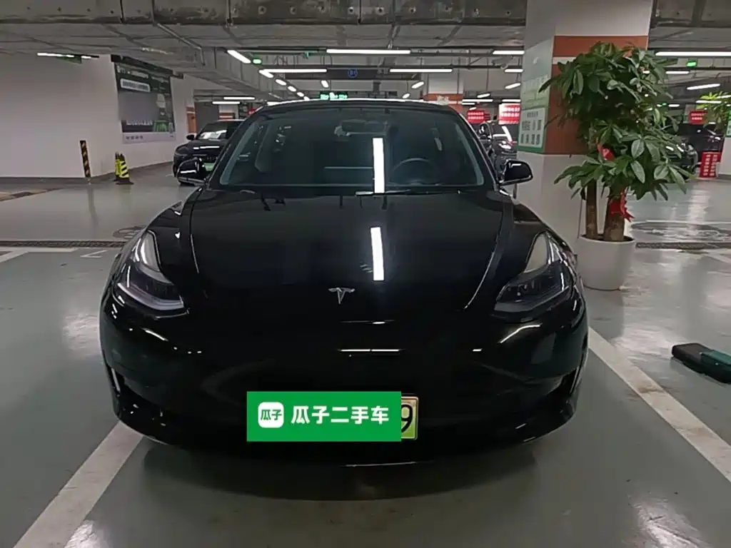 Tesla Model 3 — миниатюра 3