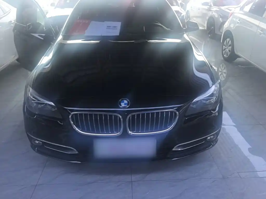 BMW 5 Series 5 2014 525Li Lead