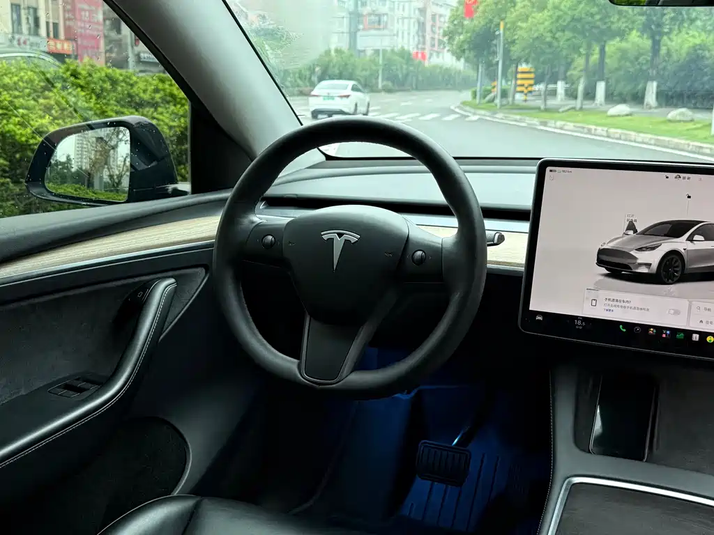 Tesla Model Y — миниатюра 13