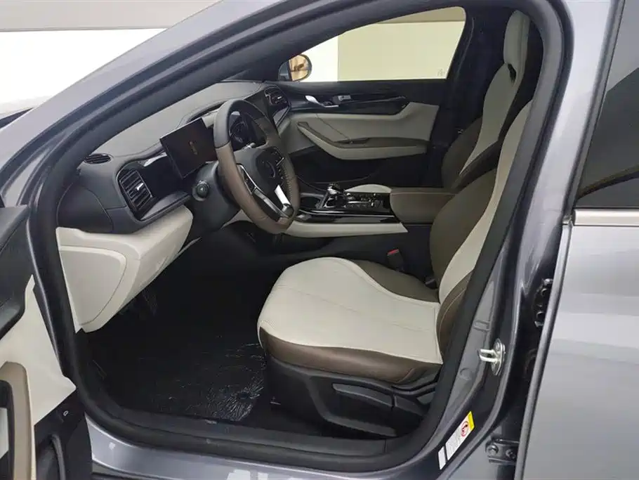 BYD Qin Plus PLUS 2024 DM-i 55KM Lead