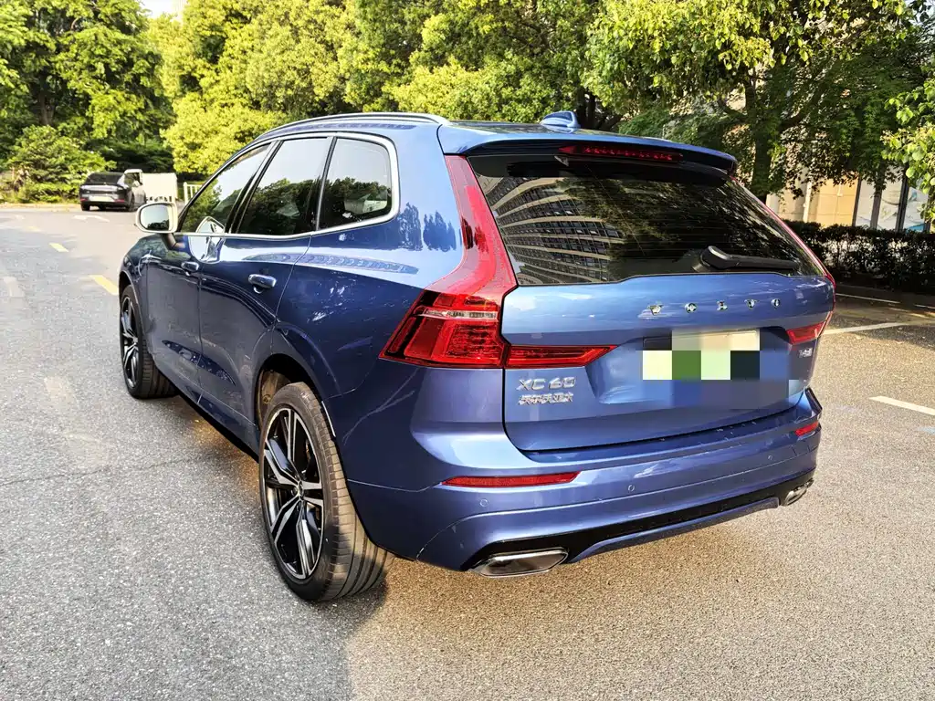 Volvo XC60 2019 T8 E Luxury VI