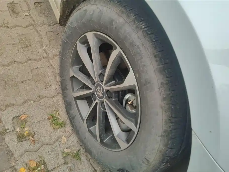 BYD Qin Plus PLUS 2024 DM-i 55KM Lead