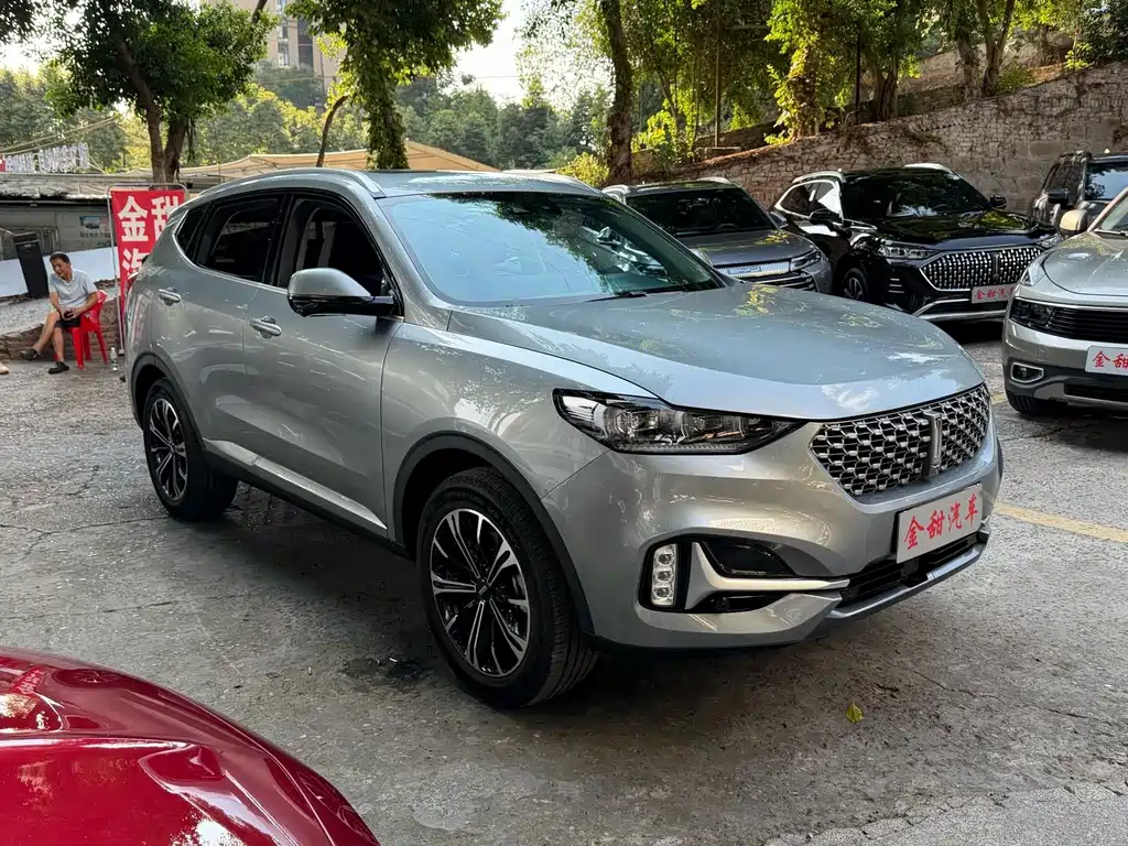 Wey Wey VV6 — миниатюра 7