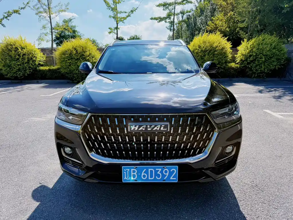 Haval H6 — миниатюра 2
