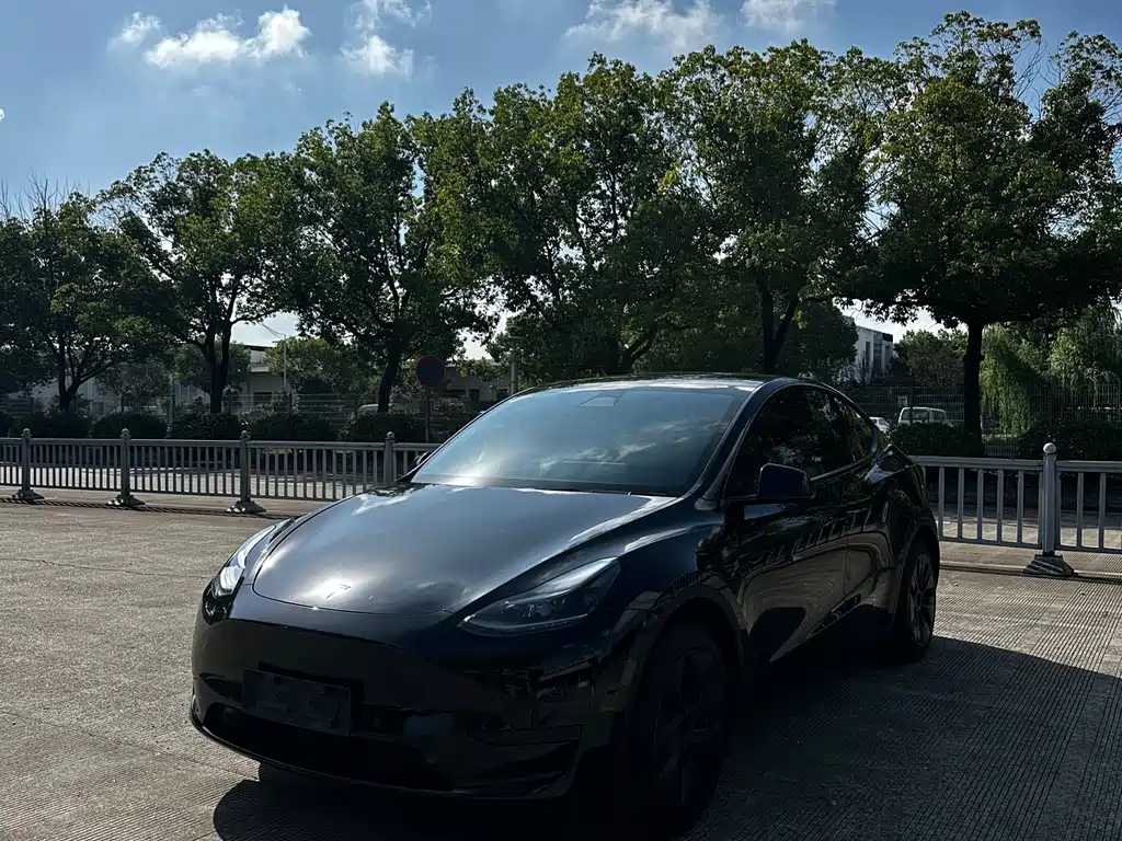 Tesla Model Y — миниатюра 3