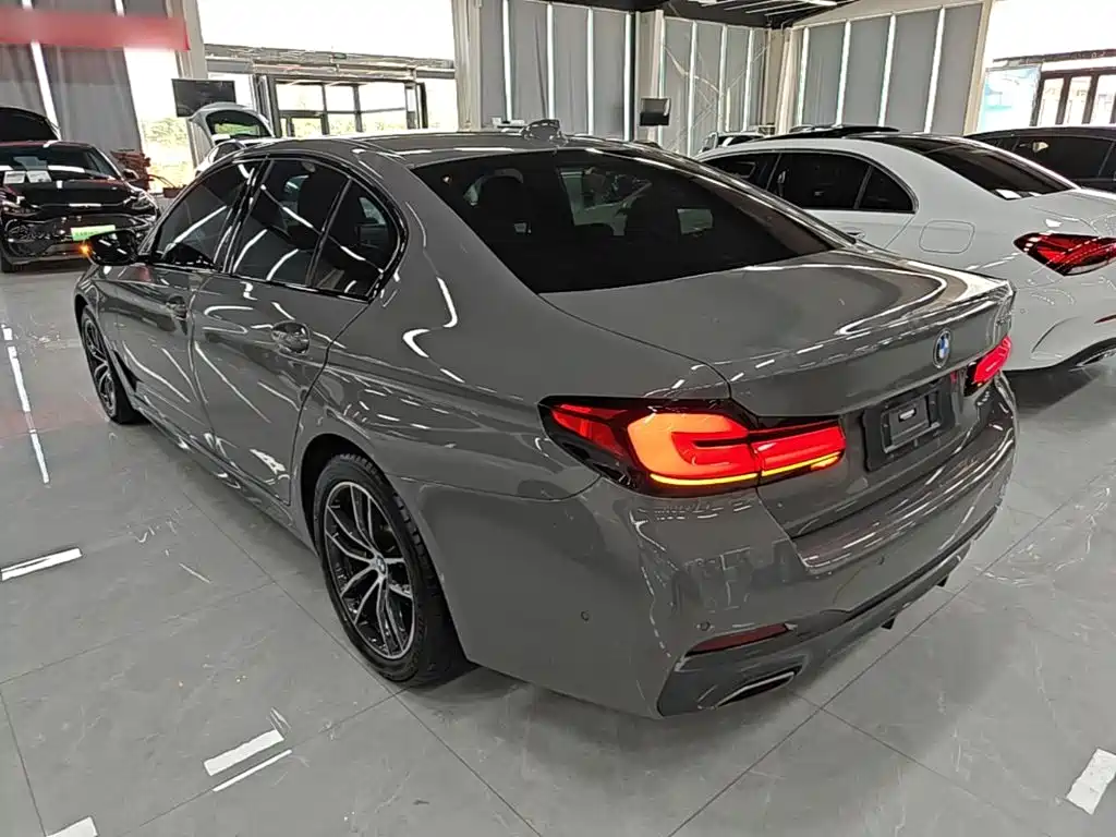 BMW 5 Series (Import) — миниатюра 5