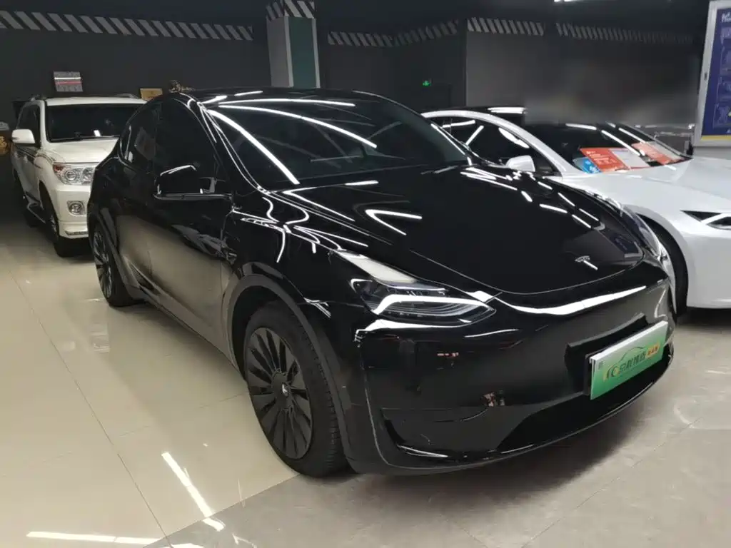 Tesla Model Y — миниатюра 4